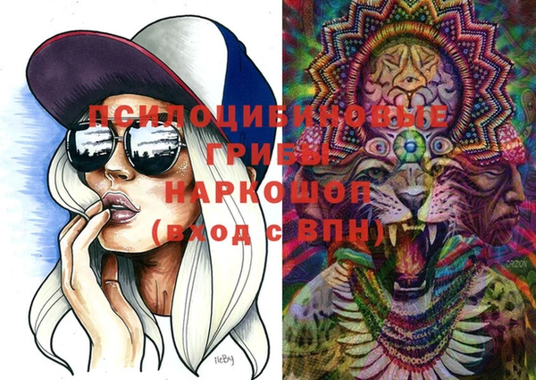 кокс Липки