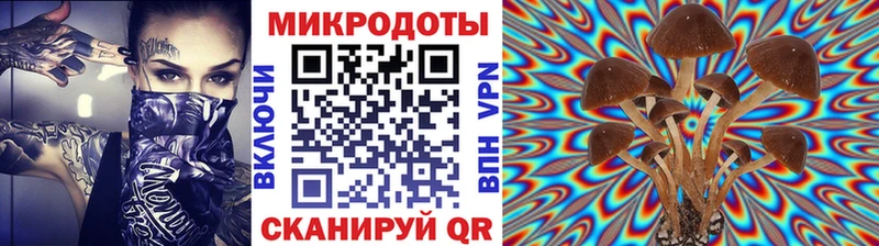 Псилоцибиновые грибы прущие грибы  Шали 