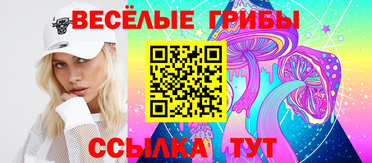 Галлюциногенные грибы Cubensis Шали