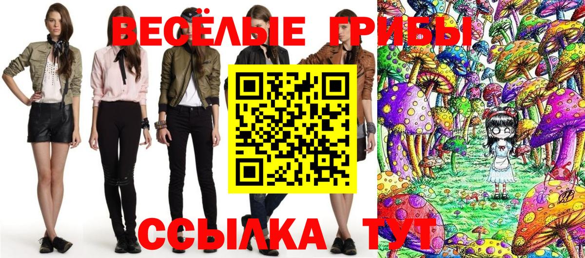 Псилоцибиновые грибы мухоморы  Шали  Галлюциногенные грибы Psilocybe 