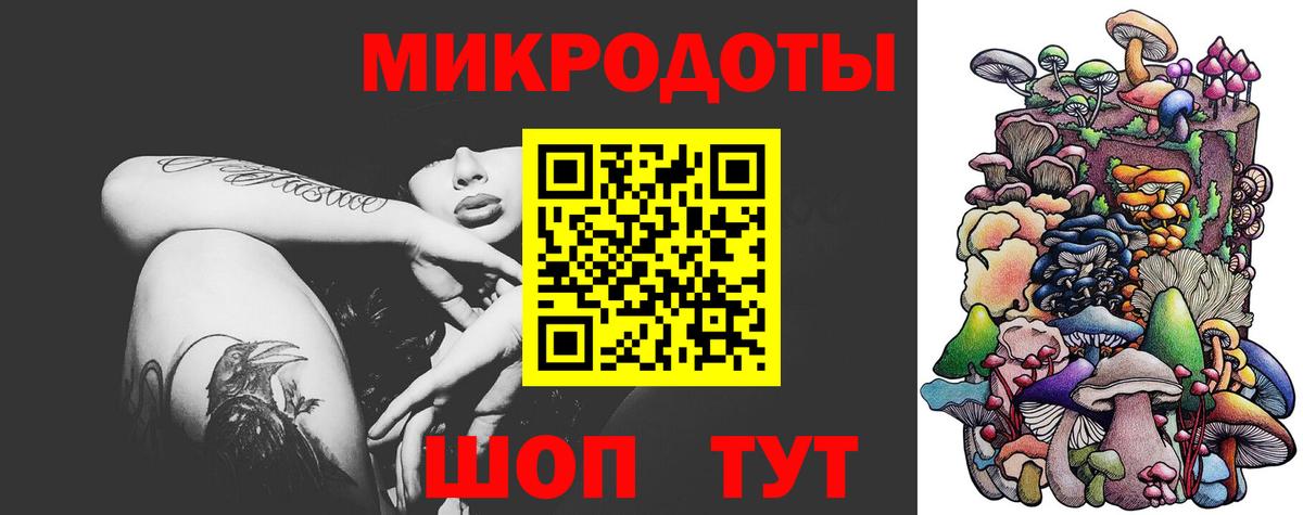 продажа наркотиков  Вход с VPN  Шали  Псилоцибиновые грибы мицелий 